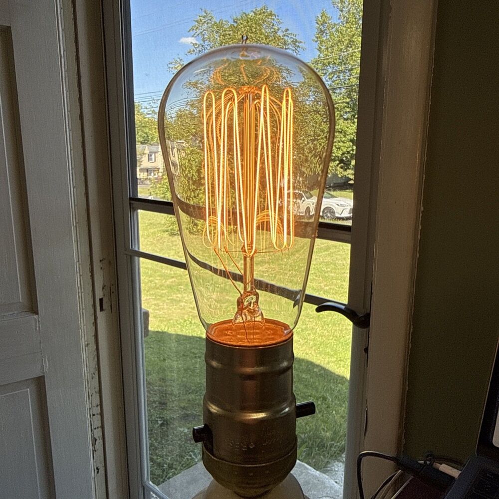 3 Clear Edison Style Light Bulbs, 60W 120V Squirrel Cage Filament A19